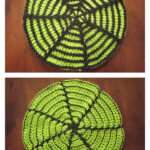 Spider Web Coaster Free Crochet Pattern