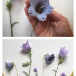 Blue Bell Flowers Free Crochet Pattern