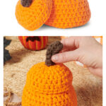 Little Pumpkin Jar Free Crochet Pattern