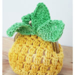 Pineapple Coin Purse Free Crochet Pattern