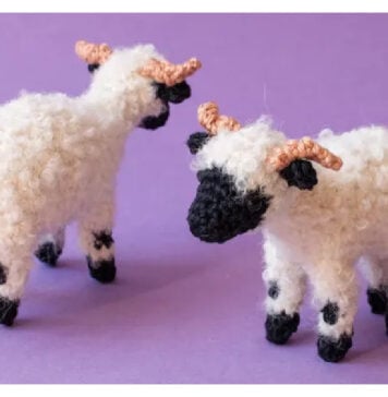 Valais Blacknose Sheep Free Crochet Pattern and Video Tutorial