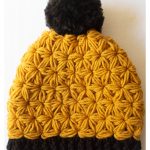 Jasmine Stitch Beanie Free Crochet Pattern