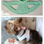 Dog Harness for Tiny Dog Free Crochet Pattern